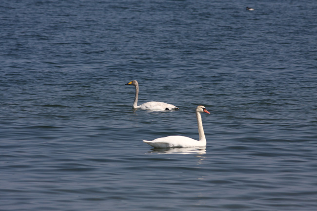 2010-05-18-Kuva03