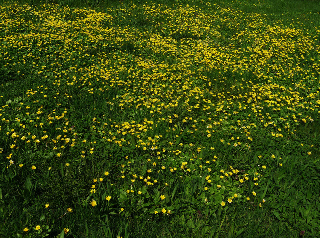2010-05-18-Kuva07