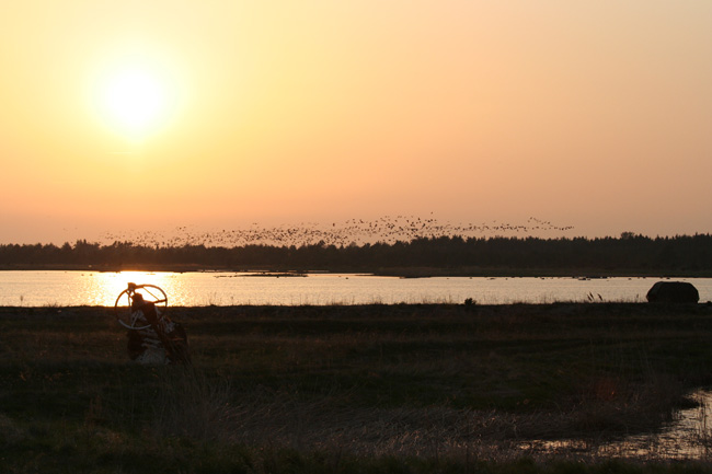 2010-05-19-Kuva01