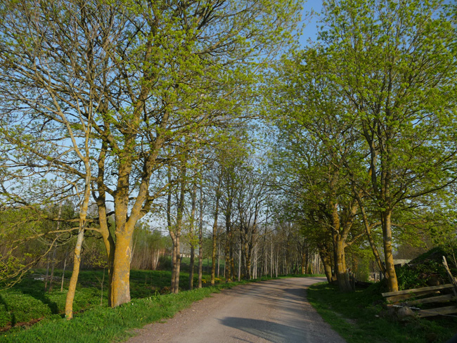 2010-05-19-Kuva02