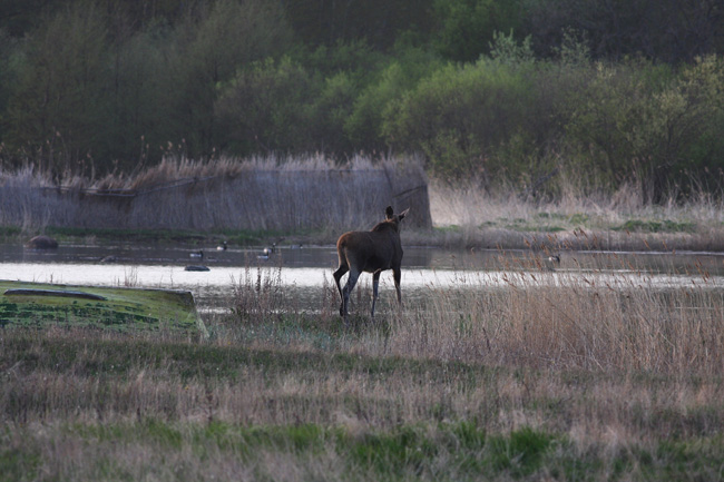 2010-05-19-Kuva04