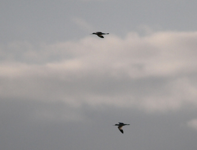 2010-06-12-Kuva02