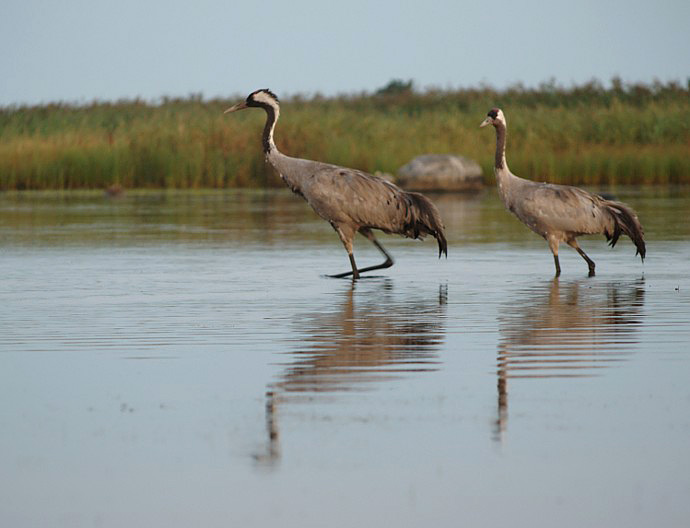 2010-08-12 1A