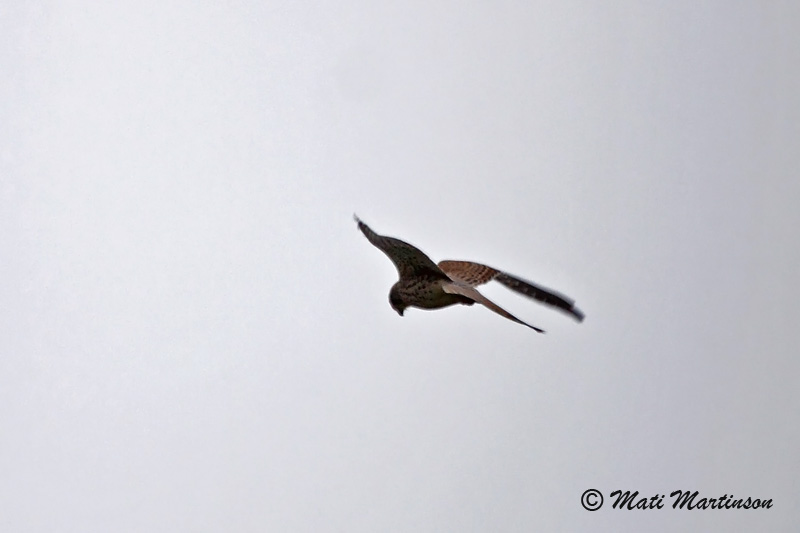 2010-09-16 2Fa
