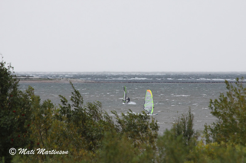 2010-09-17 1Fa