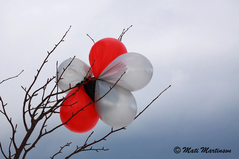 2010-12-07 1Fa