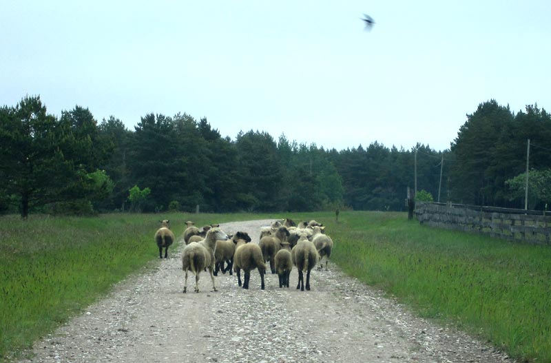 20100608 1