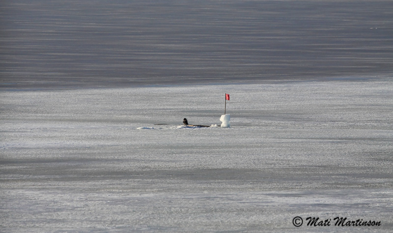 2011-01-10 3Fa