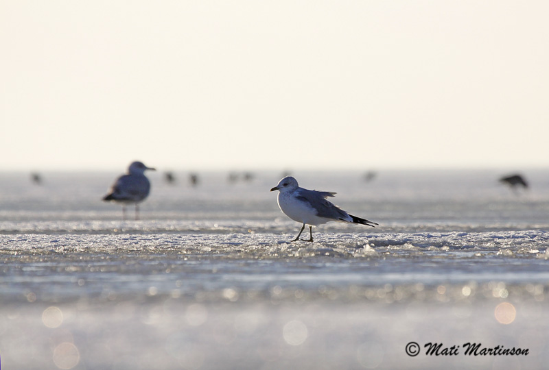 2011-01-19 2Fa