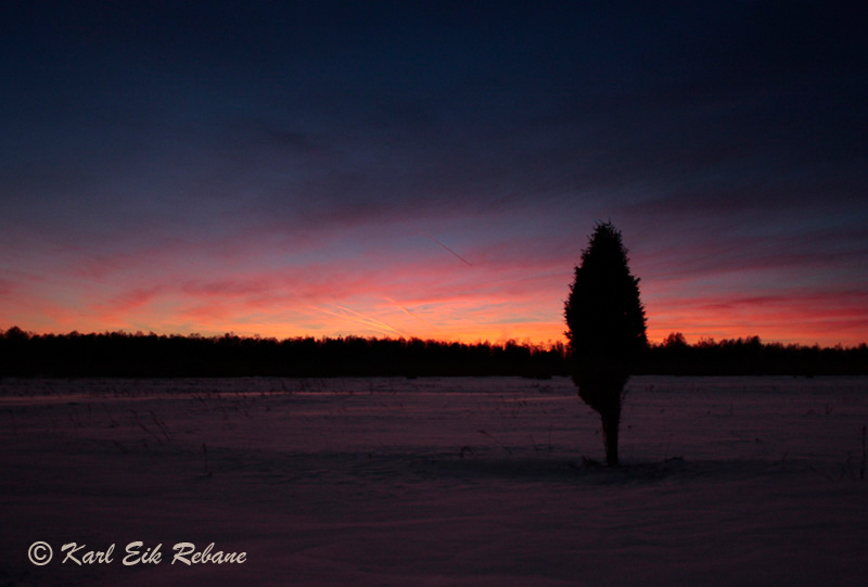 2011-01-28 1Srgb
