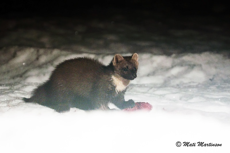 2011-02-06 2Wss