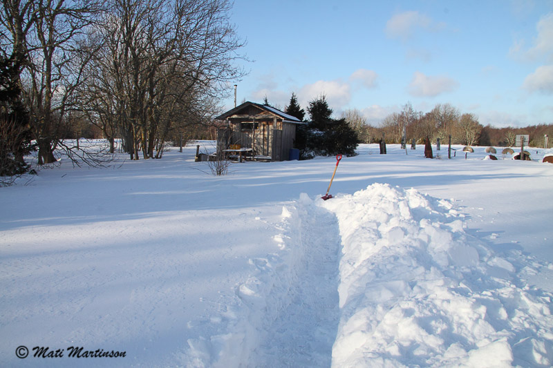 2011-02-12 6F