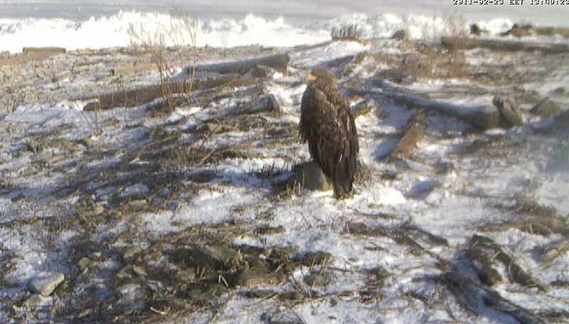 2011-02-23 2A