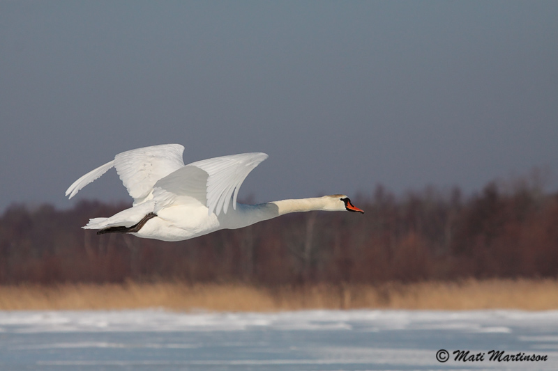 2011-02-27 4S