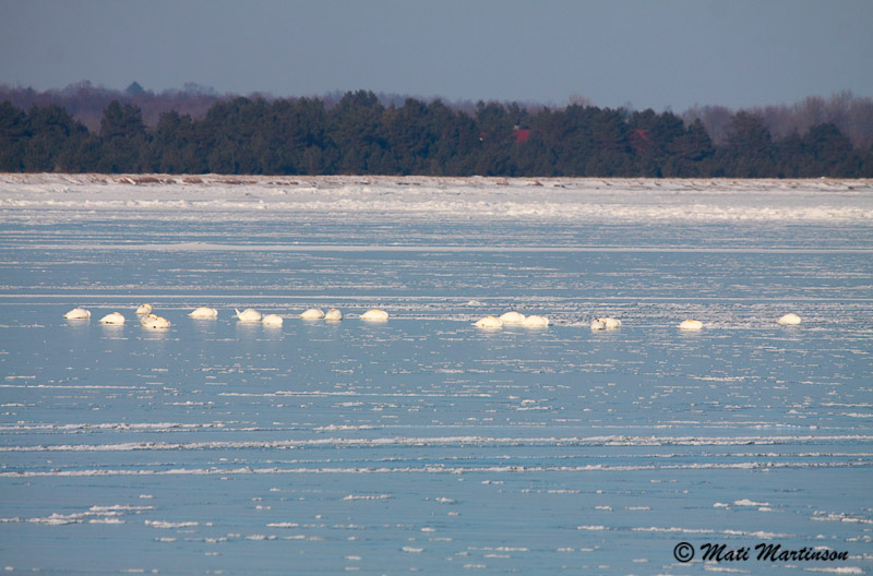 2011-02-28 2B