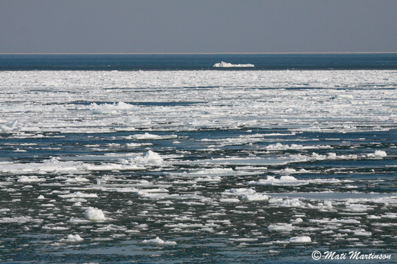 2011-03-09 3S
