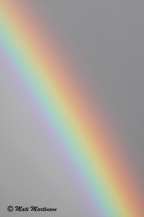 2011-04-30 1S
