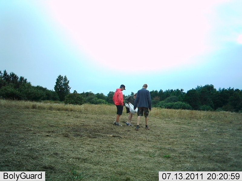 2011-07-13 1