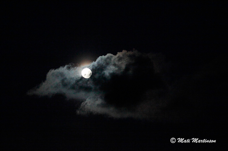 2011-08-13 1Ss