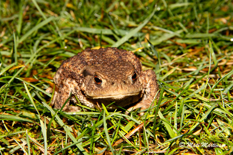 2011-10-06 2S