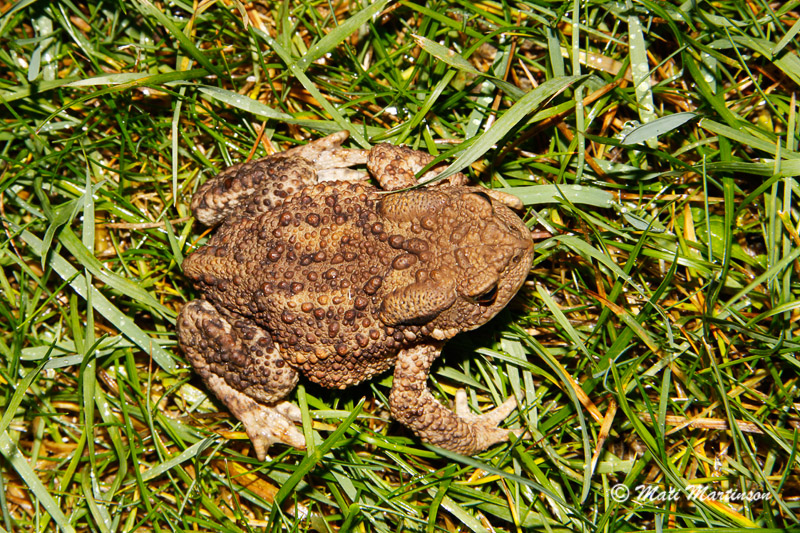 2011-10-06 3S
