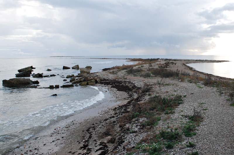 2011-10-08 2