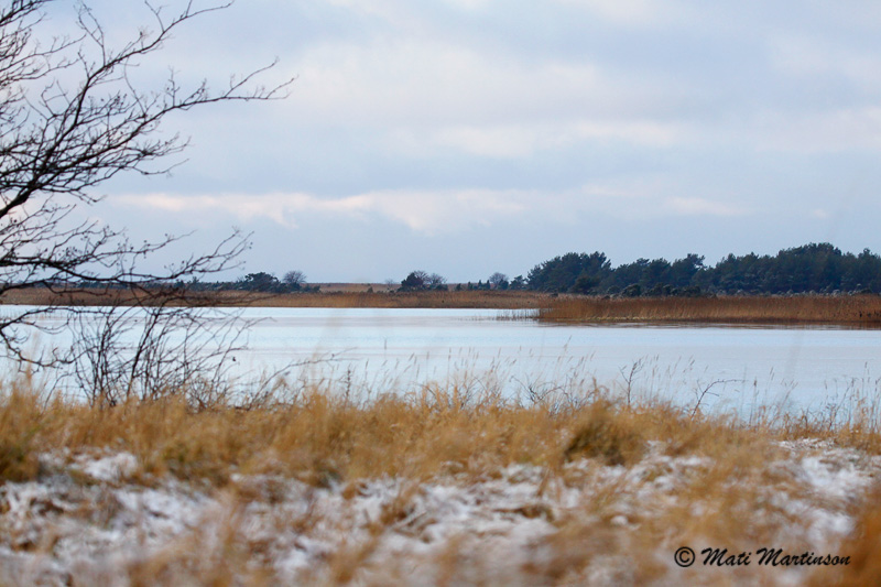 2012-01-09 3S