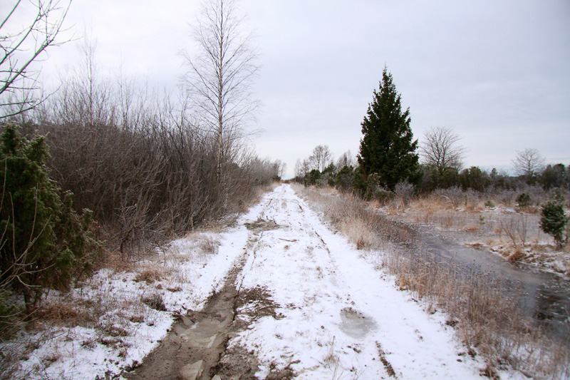 2012-01-17 5S