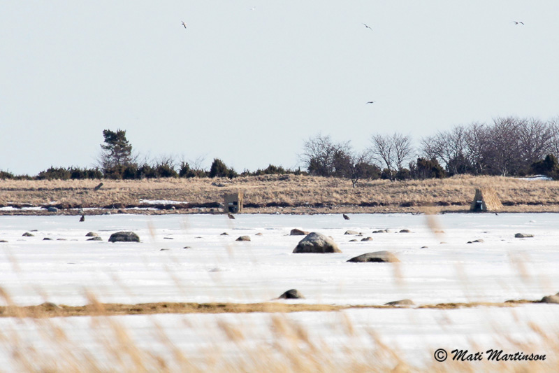 2012-02-12 3A
