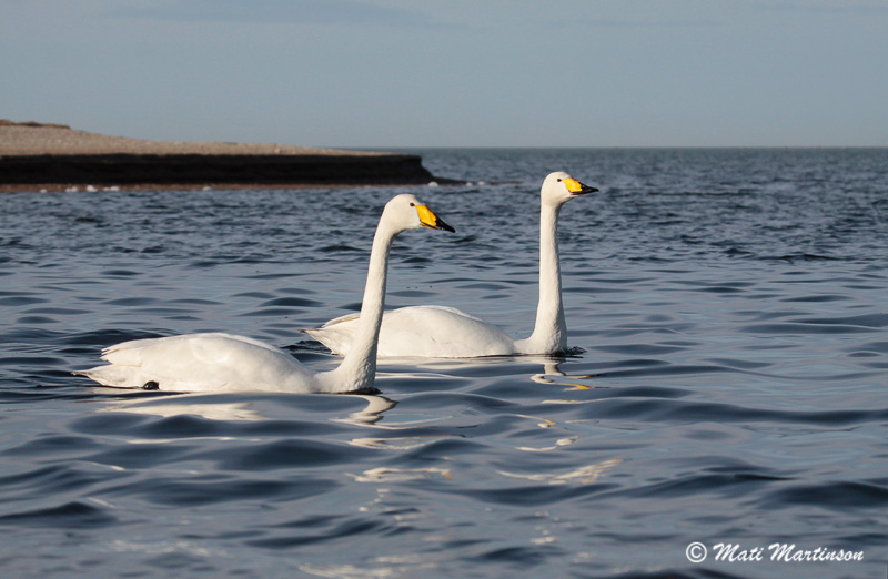 2012-03-28 3S