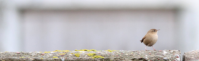 2012-10-09 2S