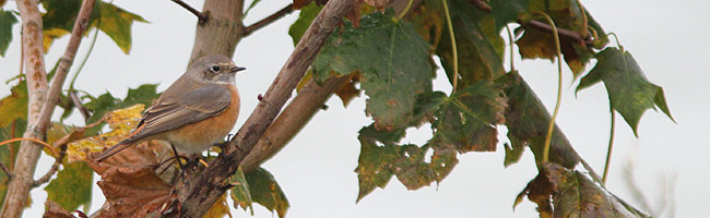 2012-10-09 3S