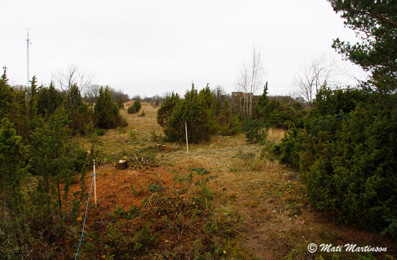 2012-11-23 2S