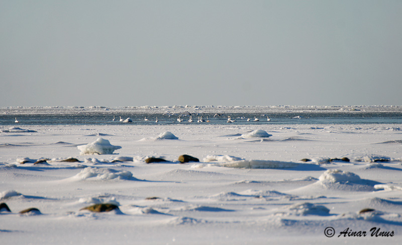 2013-01-22 2S