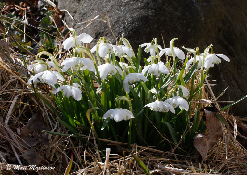 2013-04-16 4S