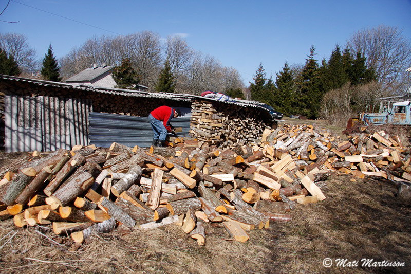 2013-04-24 8S