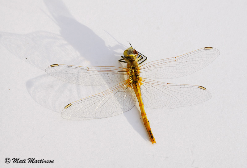 2013-08-20 2As