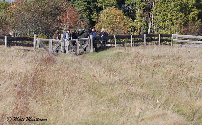 2013-09-26 2S