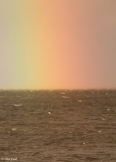 2013 12 1A