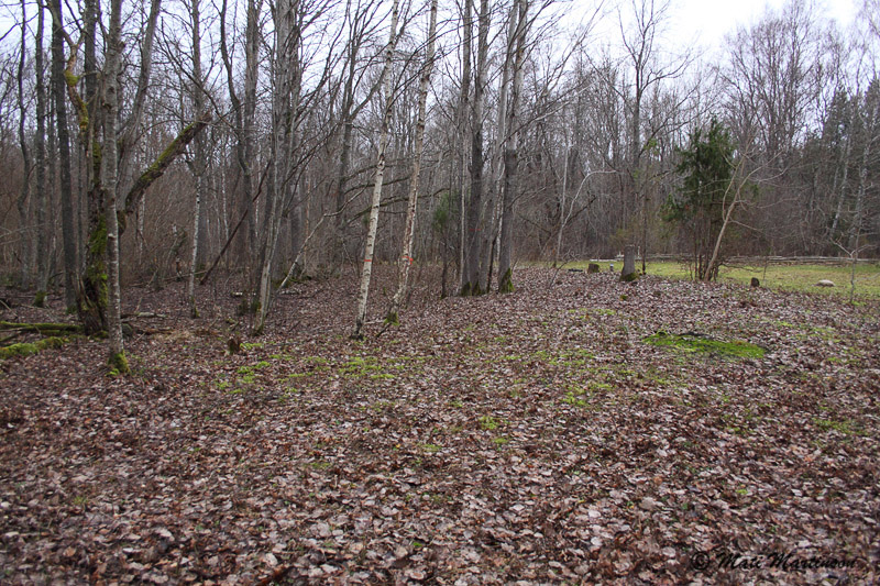 2014-01-02 3S