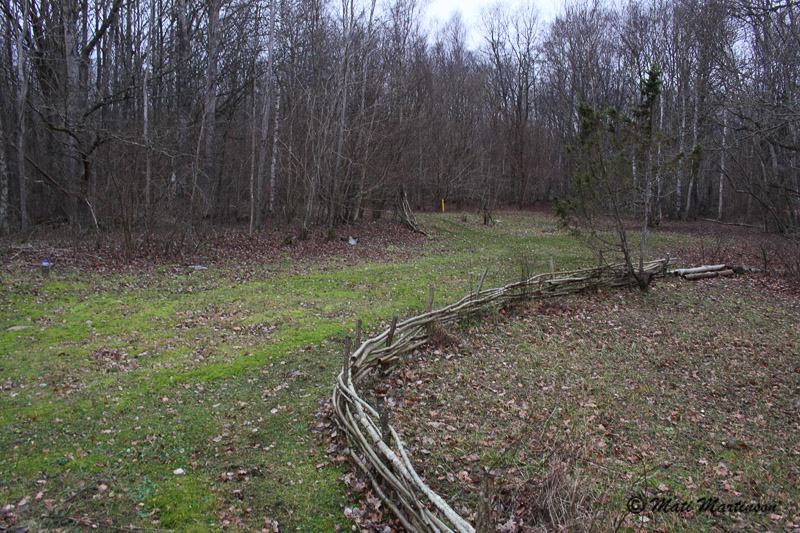 2014-01-02 4S