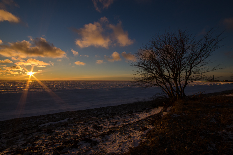 2014-01-26 2 (Allar Liiv)