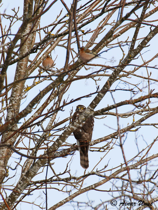 2014-03-19 2S