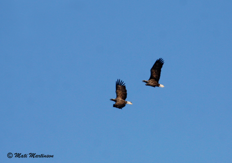 2014-04-04 2As