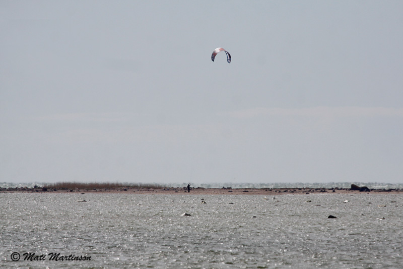 2014-05-03 8S
