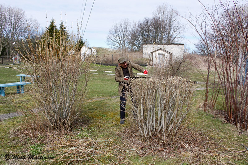 2014-05-15 3