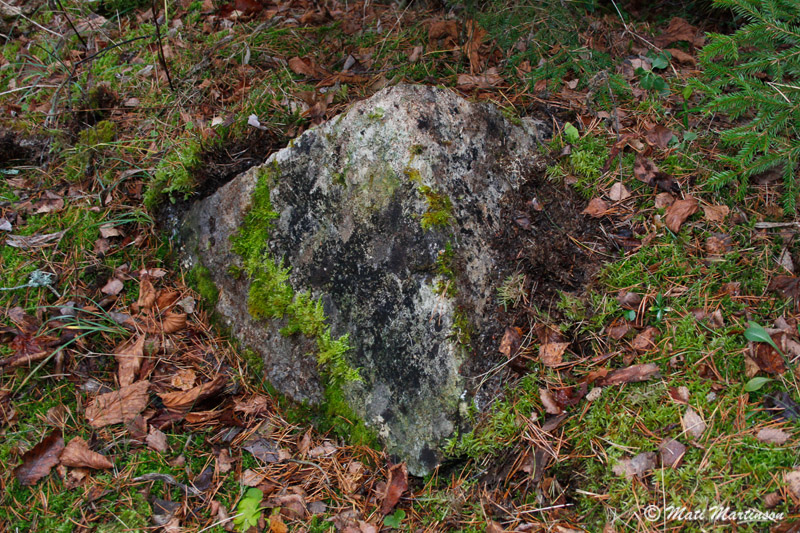 2014-12-17 4S