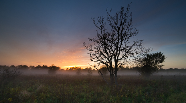 20141011-Mre 5628-3