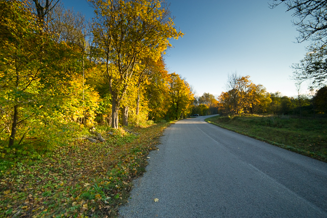 20141017-Mre 0586-2