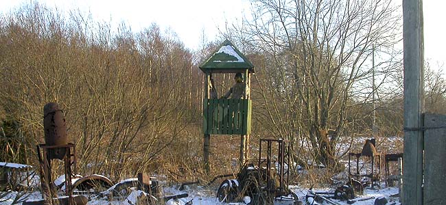 5. Laadla